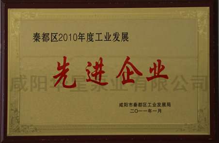 秦都區(qū)2010年度工業發展(zhan)先進企業