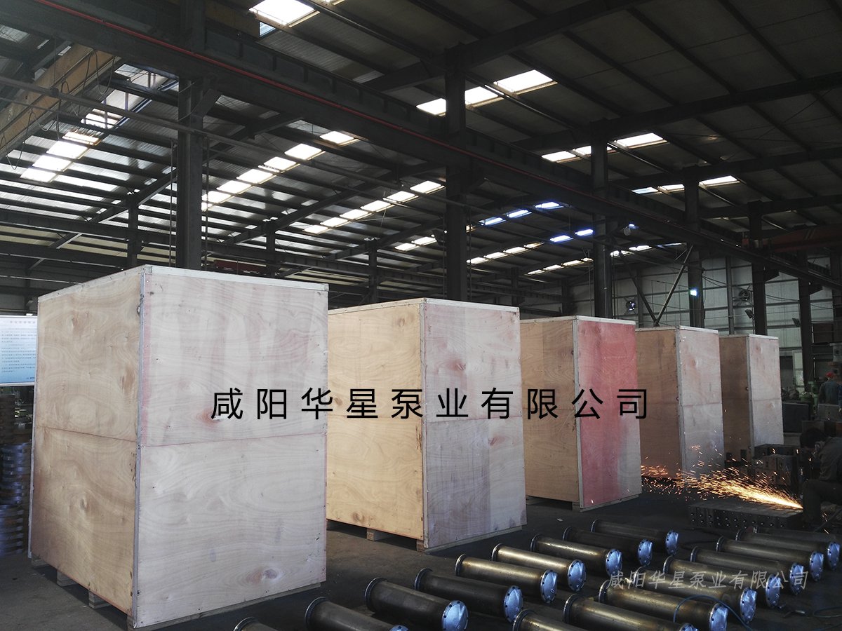 陶瓷(cí)柱塞泵發(fa)貨視頻