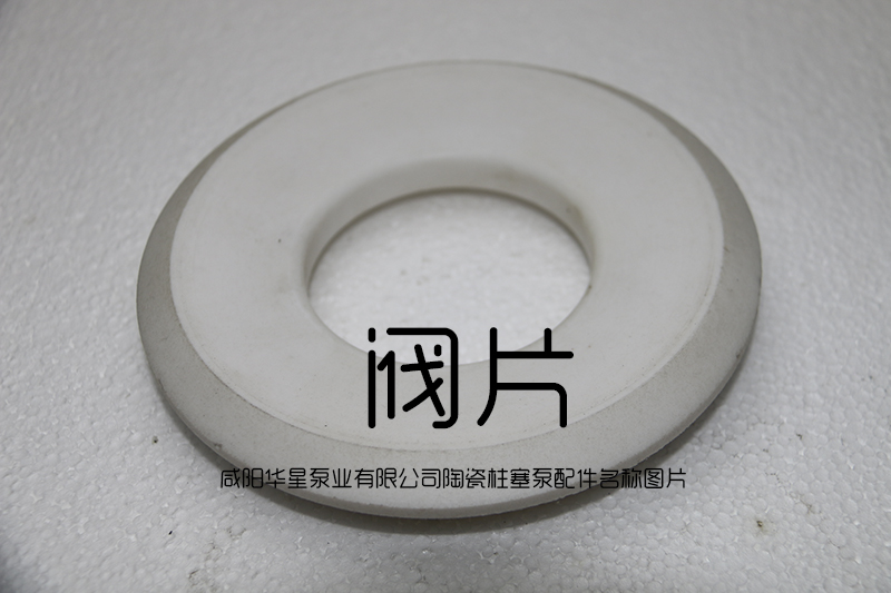 陶瓷(ci)柱塞泵閥片(piàn)