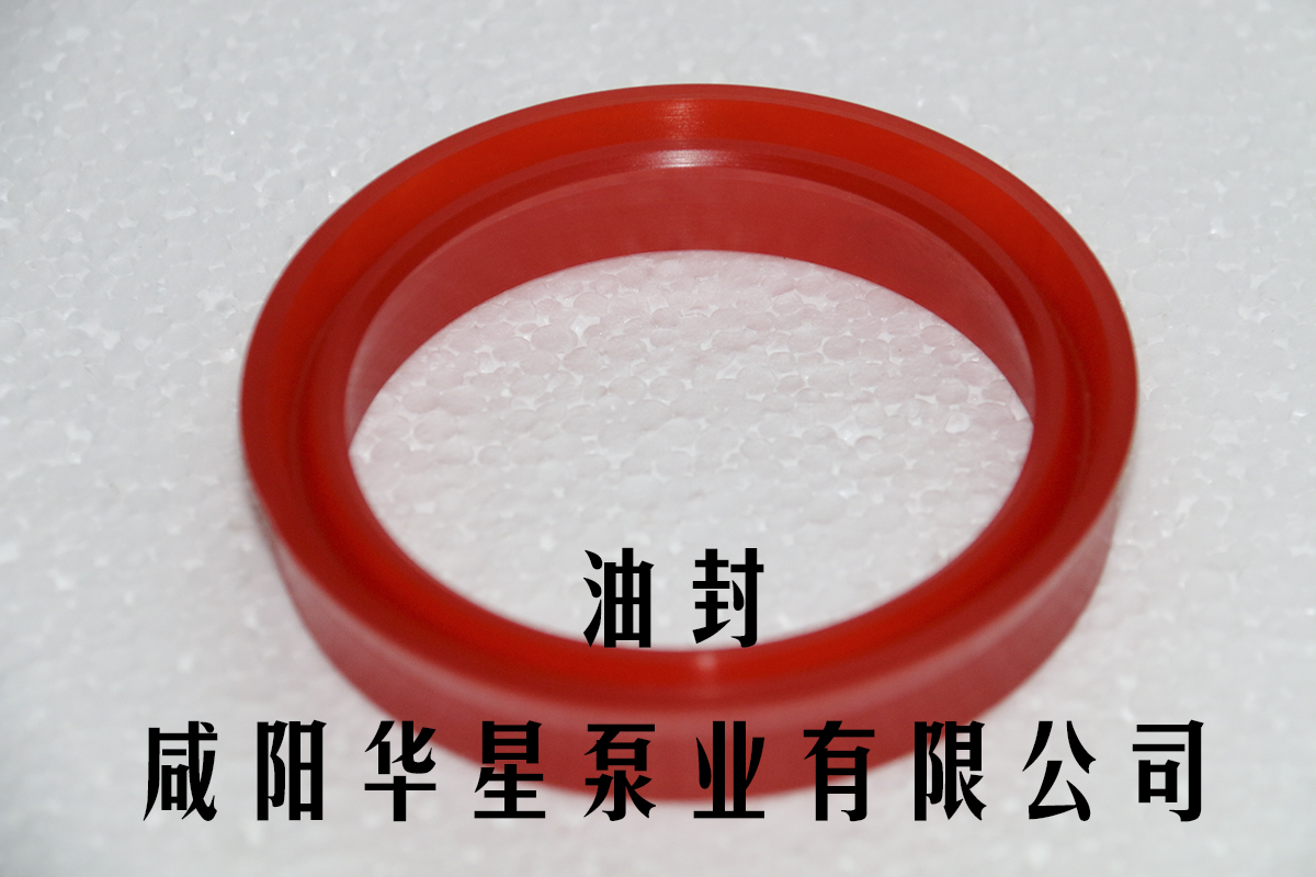 陶瓷柱塞(sai)泵油封