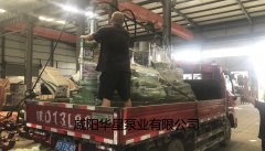 陶(tao)瓷柱塞(sāi)泵發貨(huo)給客戶(hù)