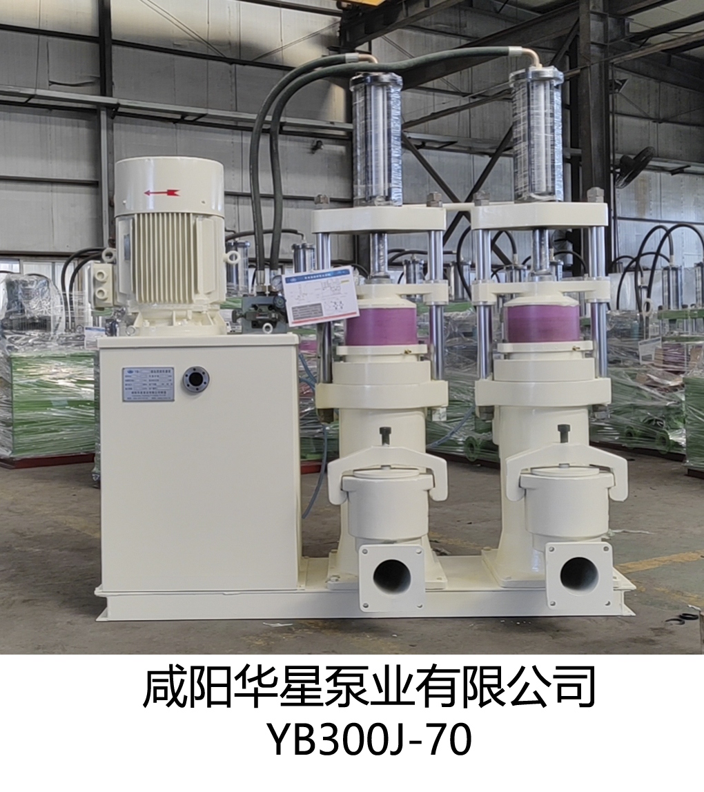 YB300J-70陶(táo)瓷柱塞泵(bèng)正面