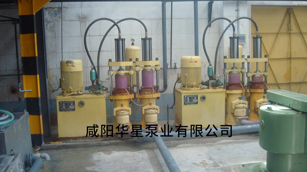 西安(an)電瓷廠-進(jìn)料泵