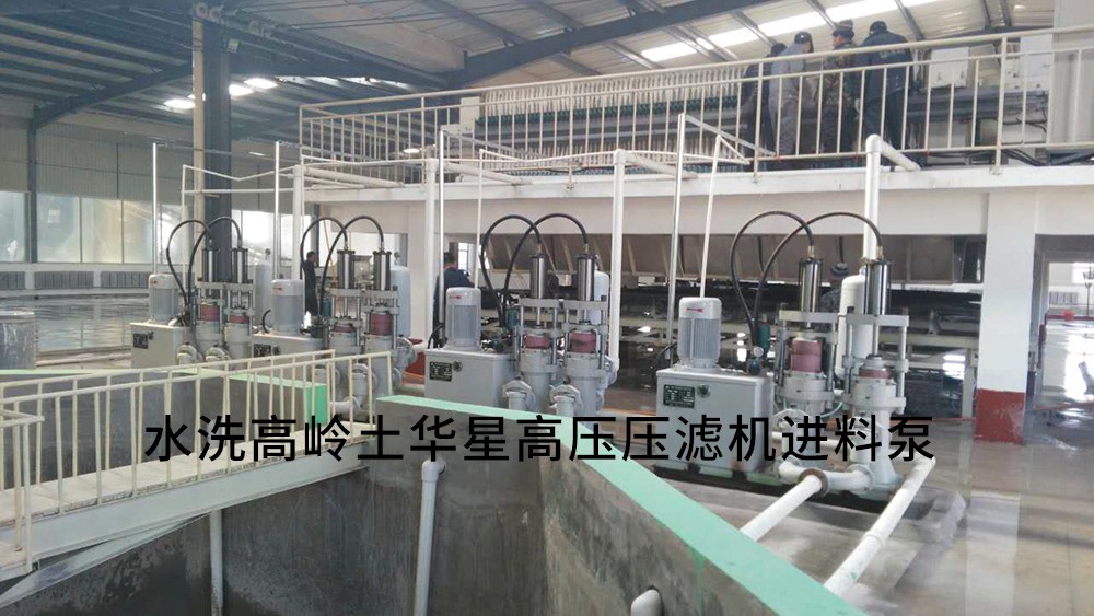 水(shui)洗高嶺(ling)土高壓(ya)壓濾機(jī)進料泵(bèng)