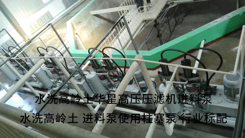 水洗高(gao)嶺土高(gao)壓壓濾(lü)機進料(liao)泵3