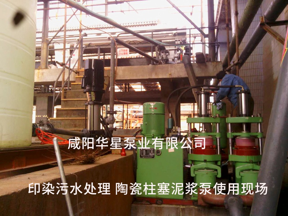 江蘇常熟印(yìn)染污泥處理(li)-水印