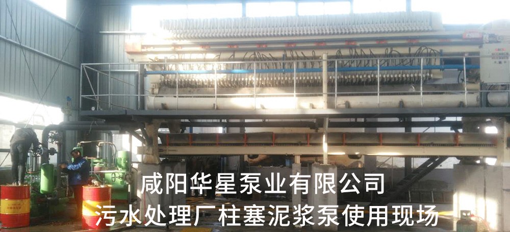 河南(nán)蘭考市政污水處(chù)理-水印