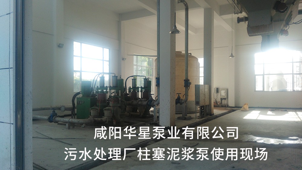 湖北仙桃污水(shui)處理廠1-水印