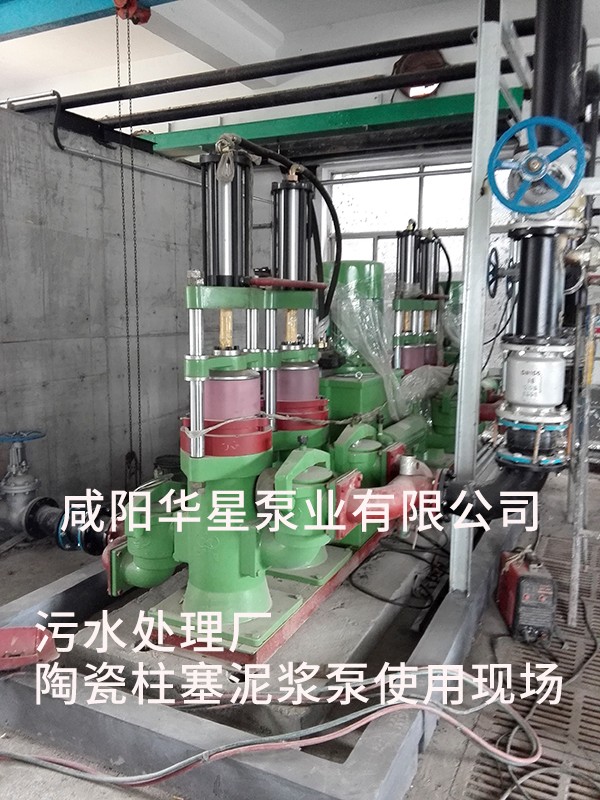 山東淄(zi)博光大水務-市政(zhèng)污水處理-水印2