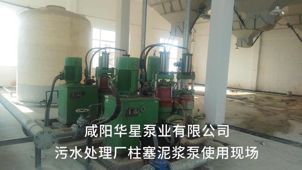 湖北(bei)仙桃污水處理廠(chang)2-水印