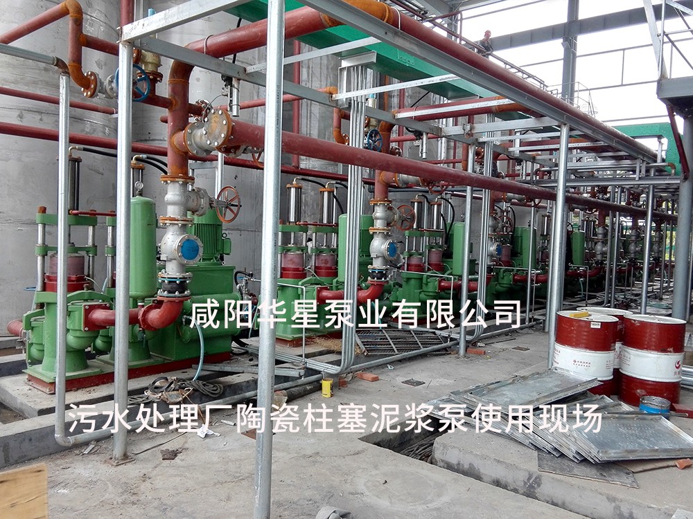 山東淄博光(guang)大水務-市政污水(shuǐ)處理-水印1