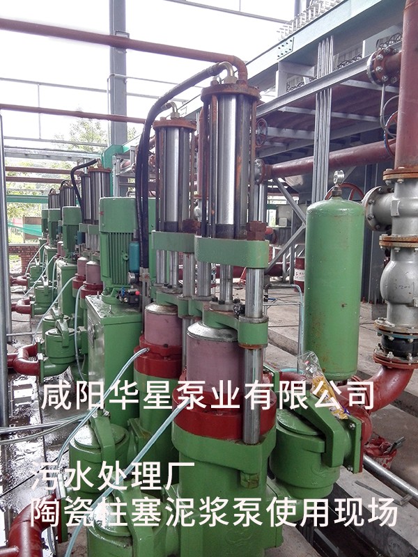 山東淄博(bó)光大水務-市政污(wu)水處理-水印5