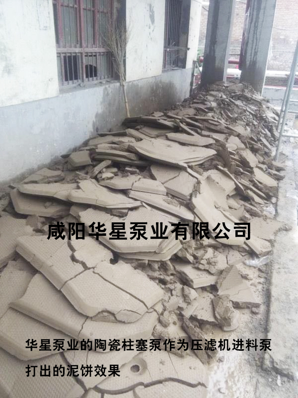華(huá)星泵業泥(ni)餅-水印