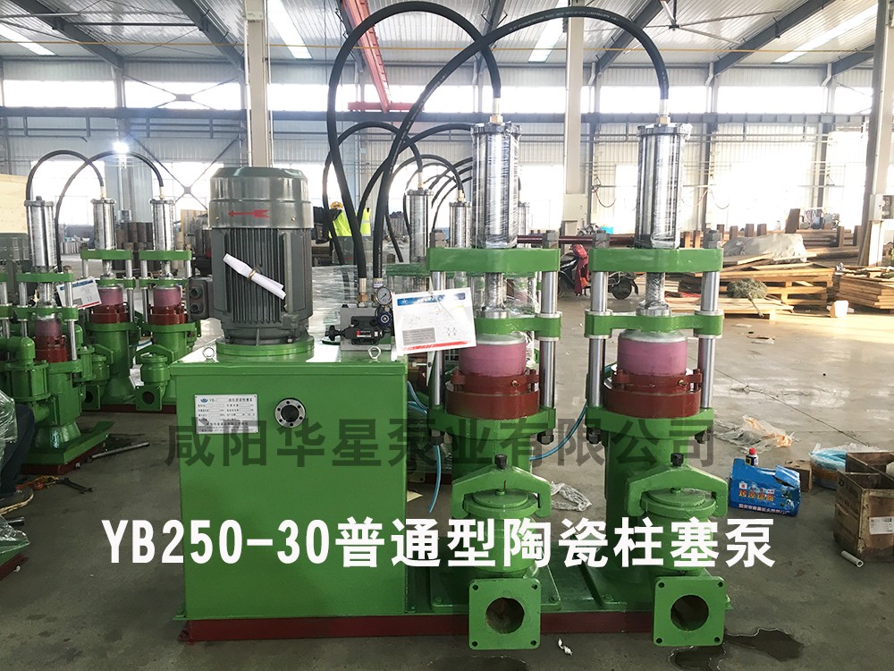 YB250-30陶瓷柱(zhù)塞泵普通型(xíng)陶瓷柱塞泵(bèng)