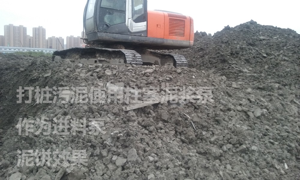 處理後的(de)泥餅2