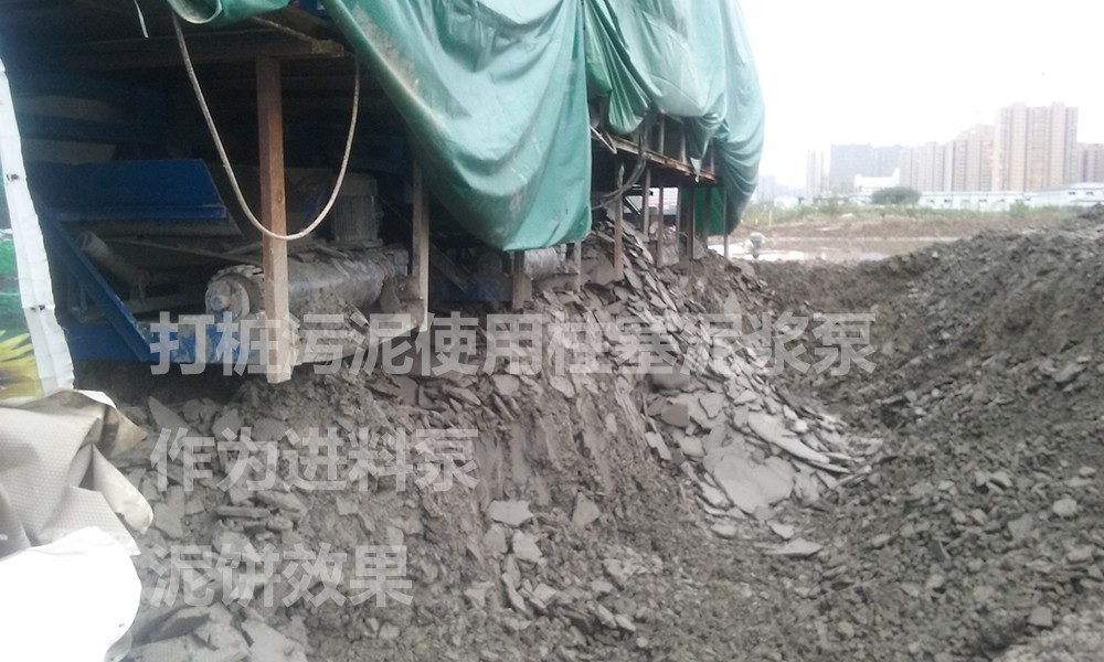 處理後的泥(ní)餅3