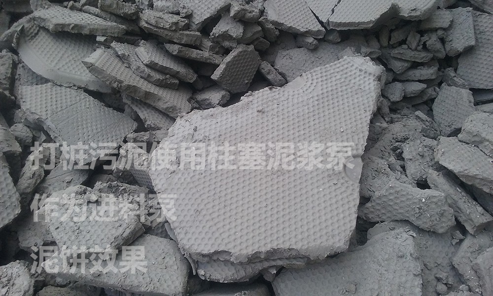 處(chù)理後的泥餅6