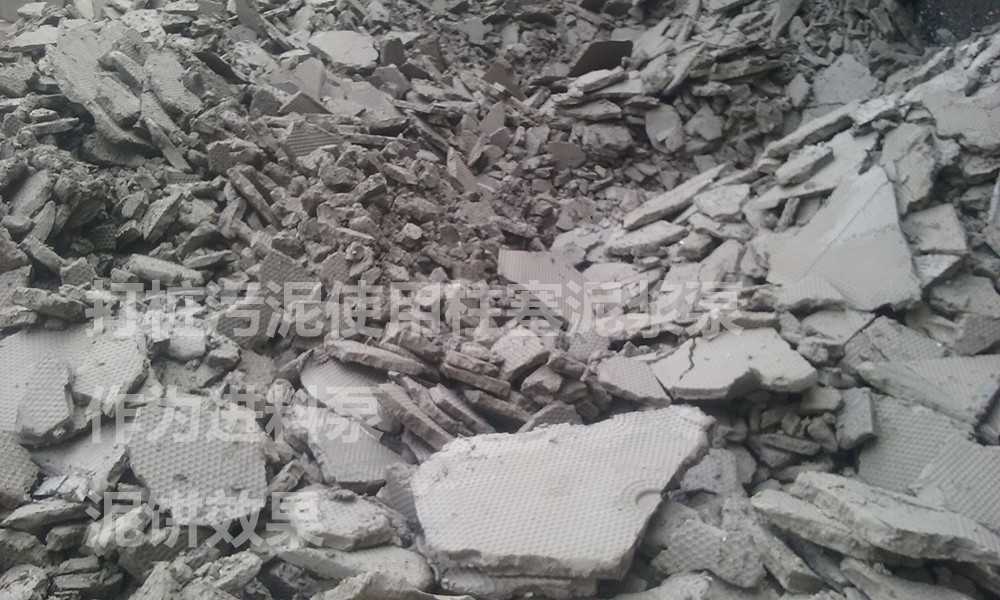 處理後的泥餅(bing)4