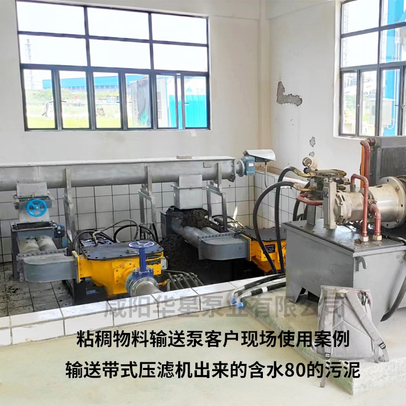 粘(zhan)稠物料輸(shu)送泵客戶(hù)案例1