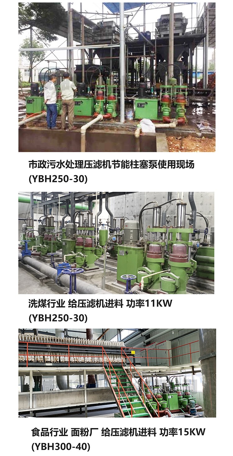 壓濾(lǜ)機專用泵(beng)_08