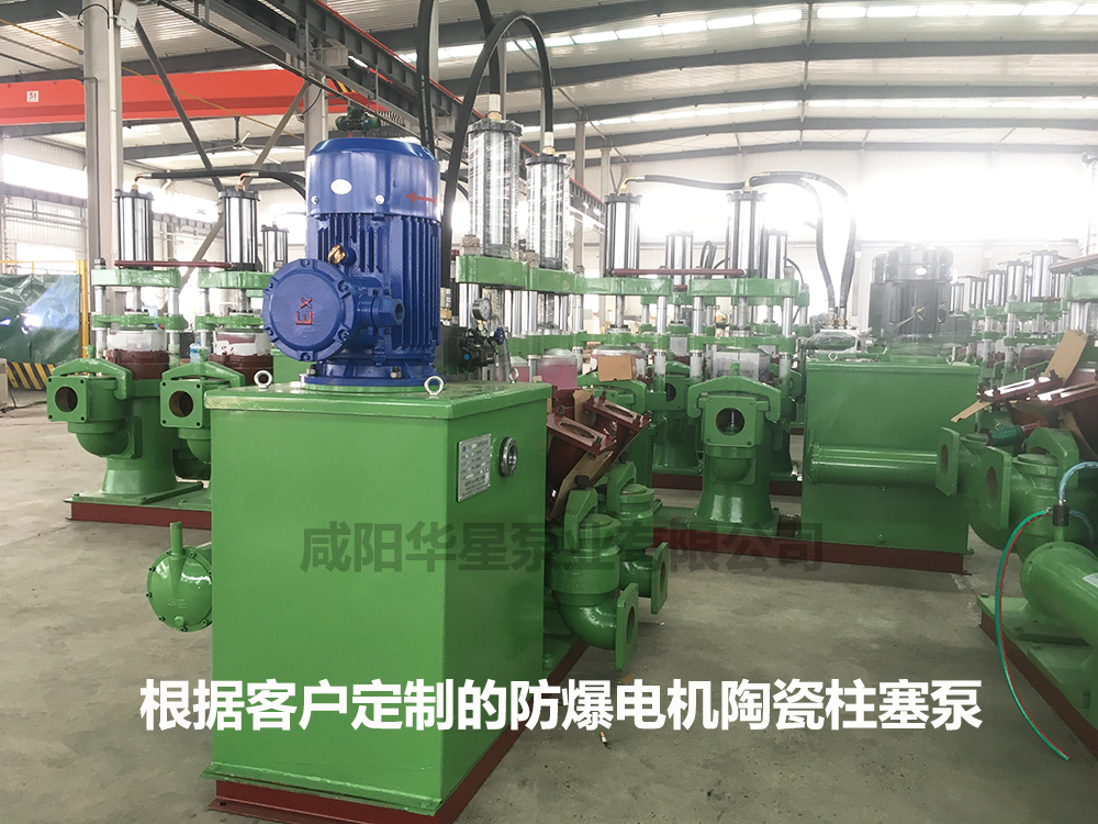 YB250型防爆電機款陶(tao)瓷柱塞泵