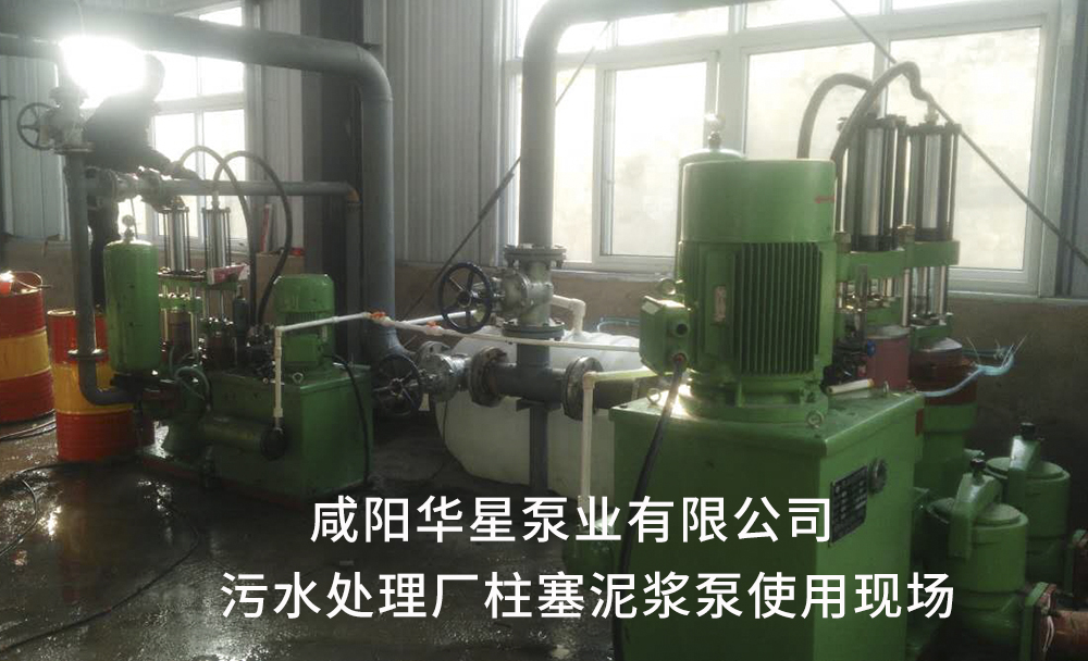 污水處理廠用(yong)陶瓷柱塞泥漿泵(bèng)