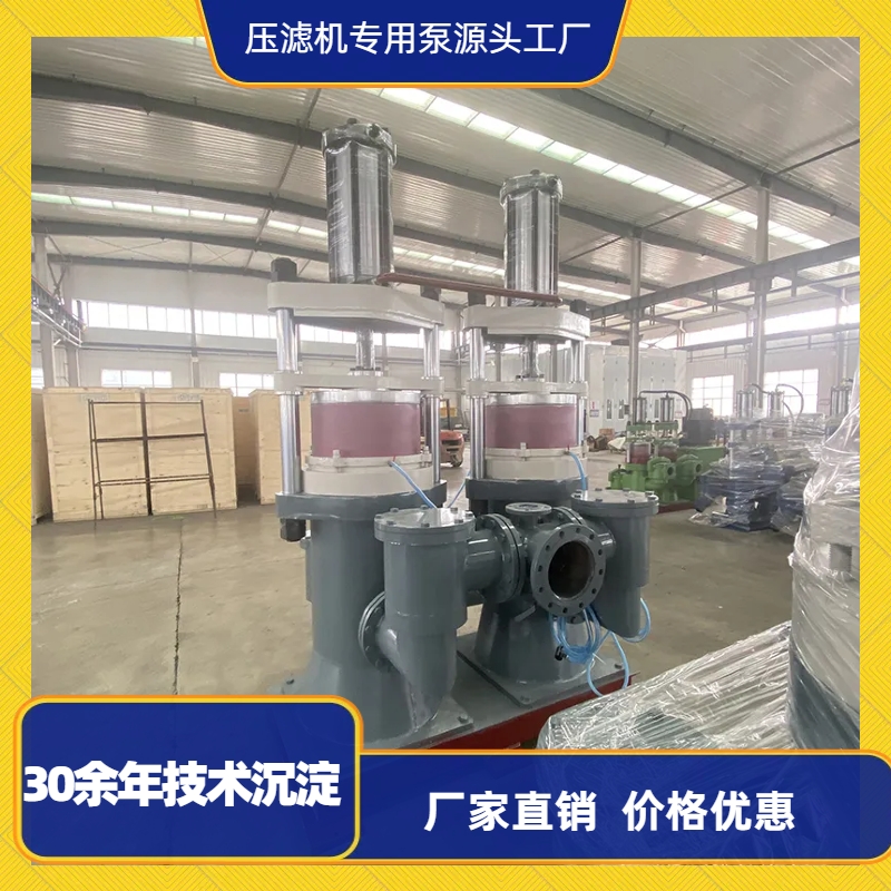 污泥柱塞(sai)泵工作原(yuan)理