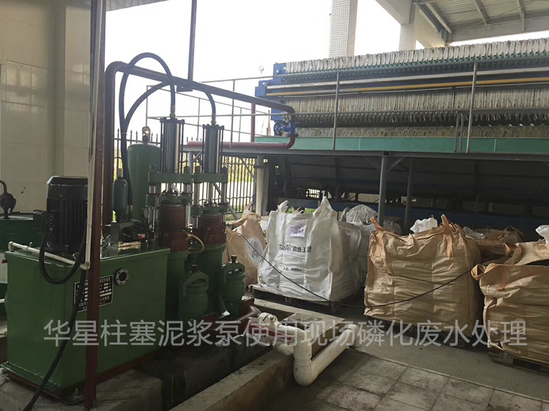 壓濾機(jī)入料泵有兩(liǎng)種密封形式(shì)