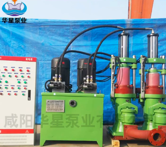 陶瓷柱塞(sai)雙缸泵