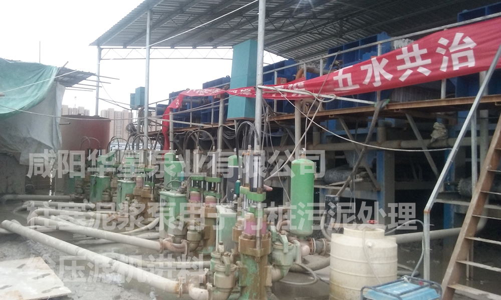 陶瓷柱塞(sāi)泵說明書